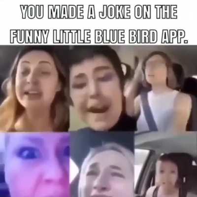 Daily fuck Twitter reminder