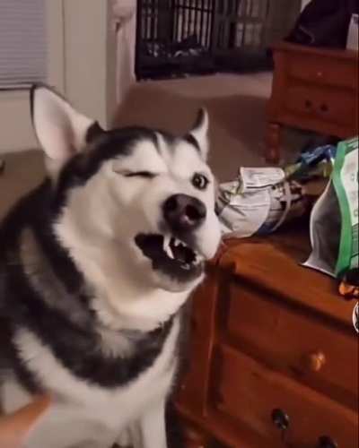 Будь!