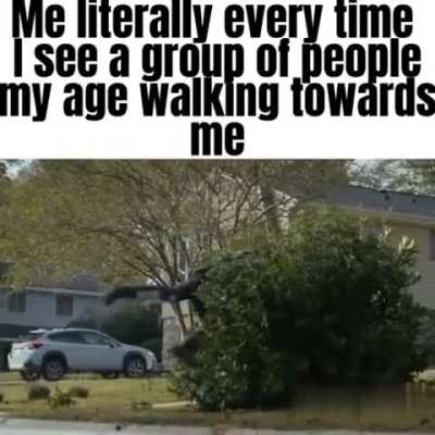 Real