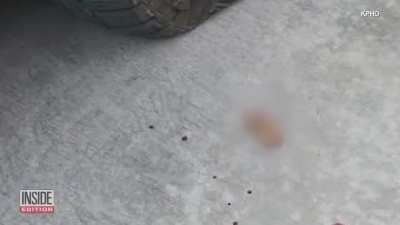 Cut your finger off while trying to slash your neighbor's tires.