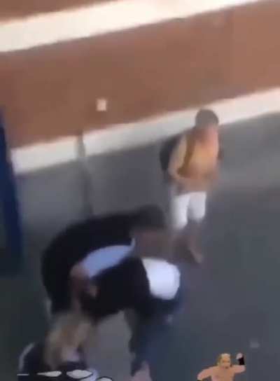 In Netherlands a Somalian guy didn't want to buy a train ticket so he hit the female train conductor and gave her a bloody nose, so another train conductor comes in and pretty much slam dunks him.