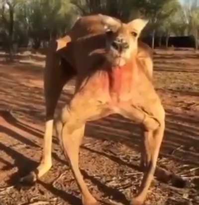 Run with me or Run from me