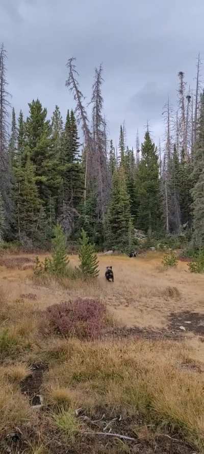 Hiking adventures