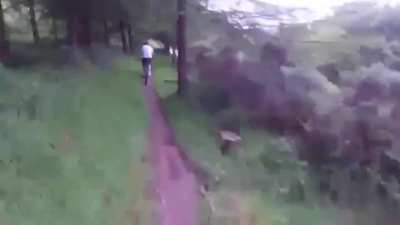 They are not the wild animals I wanted to find in the mountain