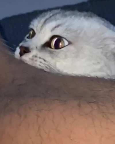 I don't like it!!