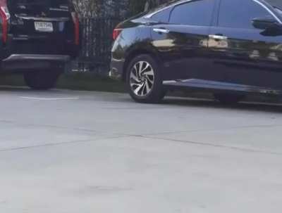 I found this video on the web seems epic...