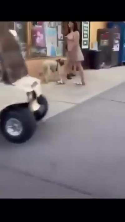 Drunk Driver.