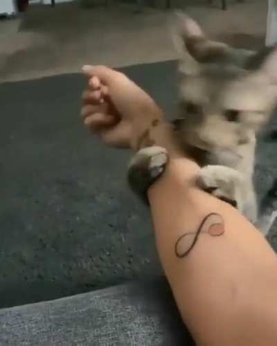 Oooo