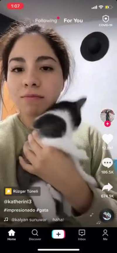 Dying at the cat’s reaction