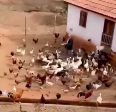 Farm mosh pit
