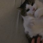 She likes rubber band balls