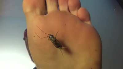 Under Her Sole