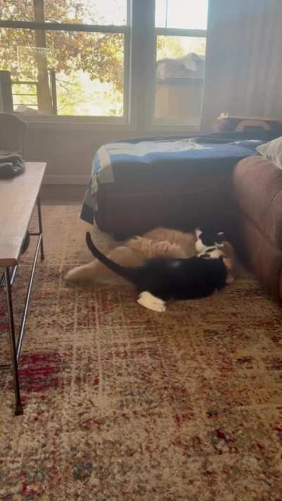It’s these two again