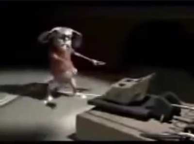 cursed_mouse