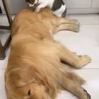 Yes, You are my best friend!!!