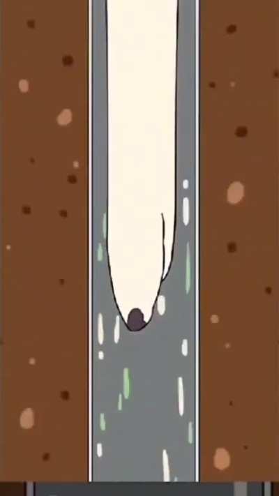 borzoi.mp4