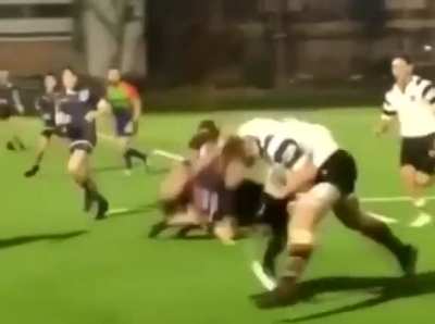 Rugby Shrimp
