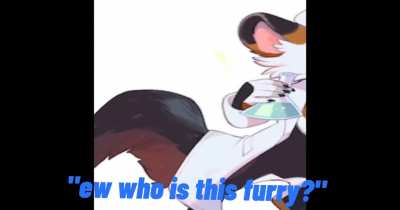 Furry_irl