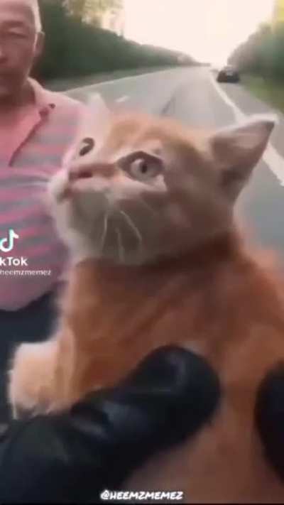 Ik the people of this subreddit are in crippling depression so yeah uh smile, cute vid