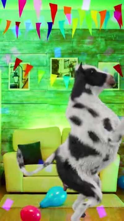 Thanks, I hate dancing Polish Cow!