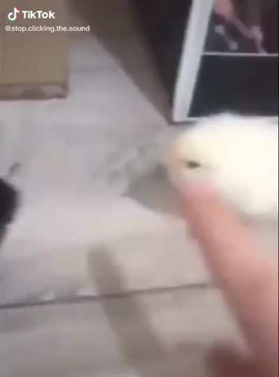 What’s up bro