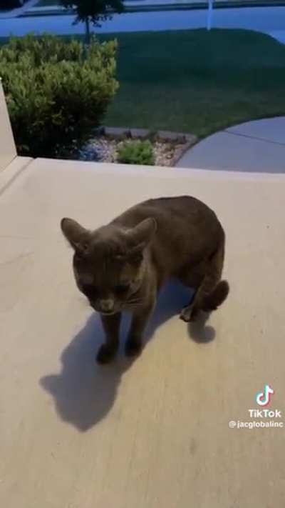 listen, I just want to come inside…