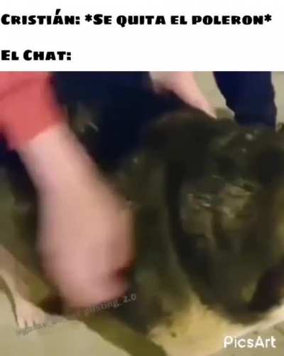 Perro waton