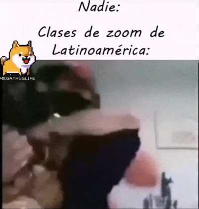 Típico.