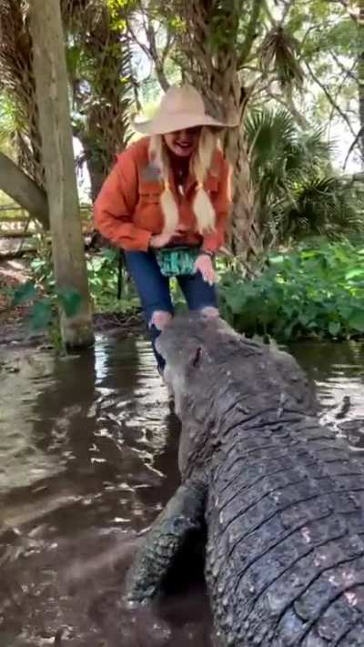 Chunky alligator and a lunatic lady. Adorable relationship or future tragedy?