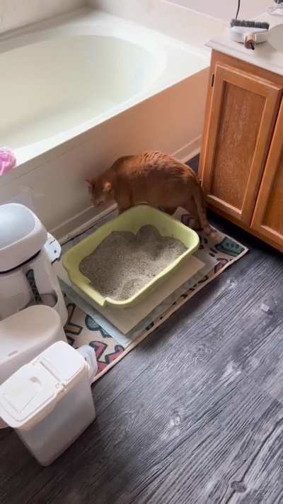 Execute litterburry.exe… litterburry failed. Execute litterburry.exe… litterburry failed. Execute litterburry.exe… litterburry failed. Please debug litterbury.