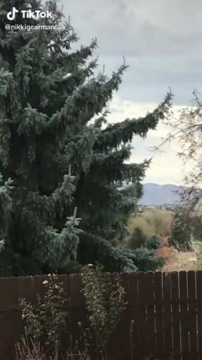 Nature has had enough