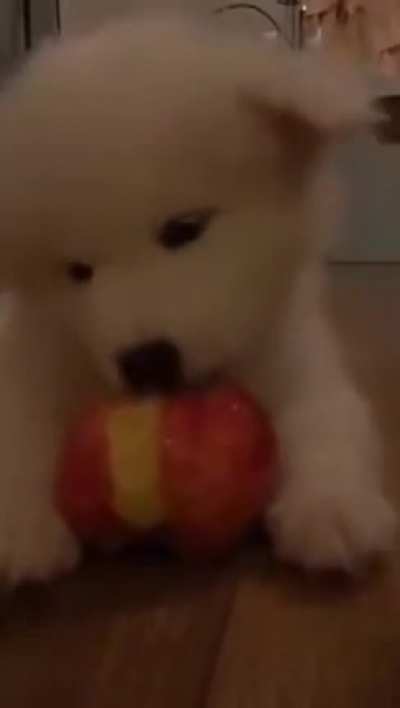 Healthy boye