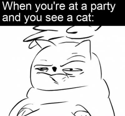 Haha cat go prrrr
