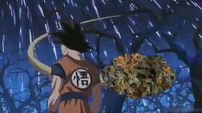 You ever smoke weed so good you feel like you're on a cloud?