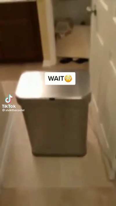 cursed_tiktok