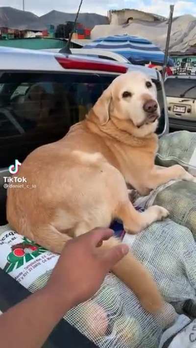The pure fear in his voice
