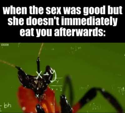 me_irl