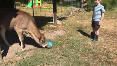 Giving the soccer ball a try