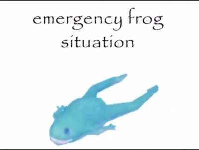 emergency frog situation