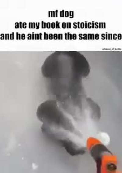 🗿