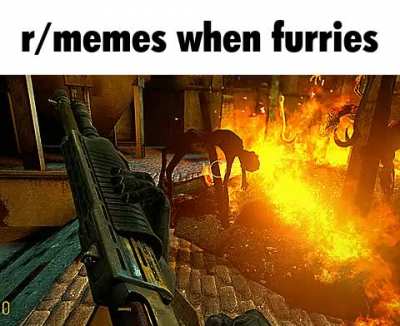 are slash maymays
