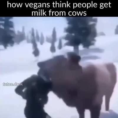 veganssss lol