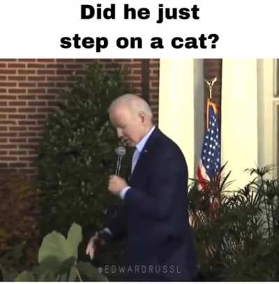DON'T TOUCH MY MURDER MITTENS YOU OLD FOOL