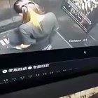 THE SHAME
