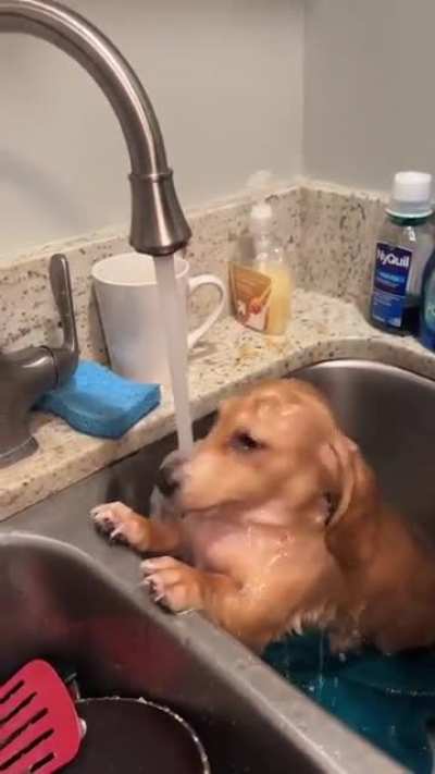 Sausage bath