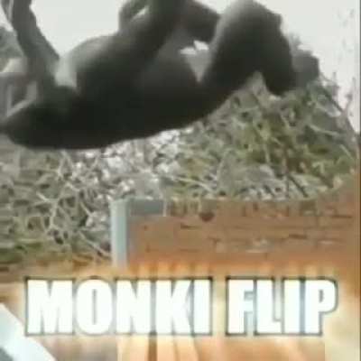 Monki Flip