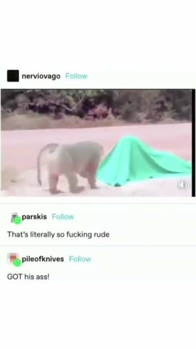 Ah, nature