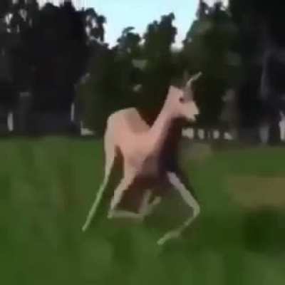 why i am here