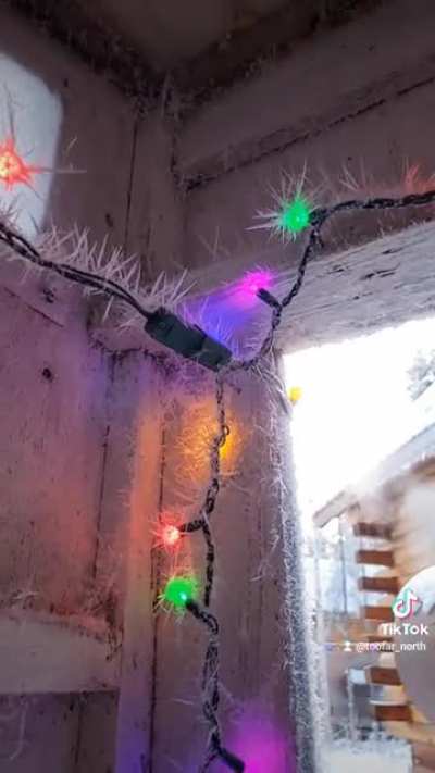What an outhouse looks like at -20F
