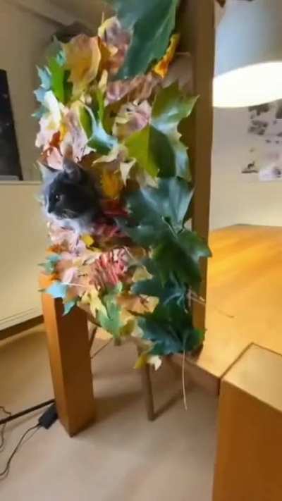 Кругом сплош<wbr>ное наеба<wbr>лово